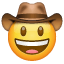 Carinha cowboy U+1F920 Carinha cowboy U+1F920