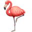 Whatsapp flamingo U+1F9A9 Whatsapp flamingo U+1F9A9