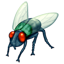 Whatsapp mosca U+1FAB0 Whatsapp mosca U+1FAB0