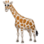 girafa emoji U+1F992