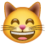 Carinha de gato feliz olhos Whatsapp U+1F638 Carinha de gato feliz olhos Whatsapp U+1F638