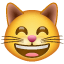 Carinha de gato feliz olhos Whatsapp U+1F638