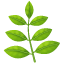 Emoji ramo com folhas U+1F33F
