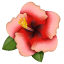 Emoji hibiscus U+1F33A Emoji hibiscus U+1F33A