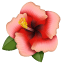 Emoji hibiscus U+1F33A