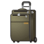 Mala emoji U+1F9F3