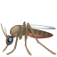 Mosquito emoji U+1F99F