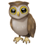Emoji coruja whatsapp U+1F989 Emoji coruja whatsapp U+1F989
