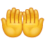 reza emoji U+1F932 reza emoji U+1F932