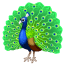 Pavão U+1F99A Pavão U+1F99A