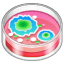 Placa de Petri emoji U+1F9EB Placa de Petri emoji U+1F9EB