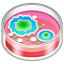 Placa de Petri emoji U+1F9EB
