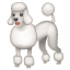 Emoji de poodle U+1F429