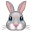 Emoji coelho whatsapp U+1F430 Emoji coelho whatsapp U+1F430