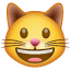 Emoji gato sorridente boca aberta U+1F63A Emoji gato sorridente boca aberta U+1F63A