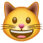 Emoji gato sorridente boca aberta U+1F63A