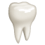 Dente emoji U+1F9B7 Dente emoji U+1F9B7