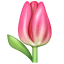 Emoji tulipa U+1F337 Emoji tulipa U+1F337