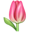 Emoji tulipa U+1F337