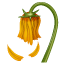 Flor murcha Whatsapp U+1F940 Flor murcha Whatsapp U+1F940